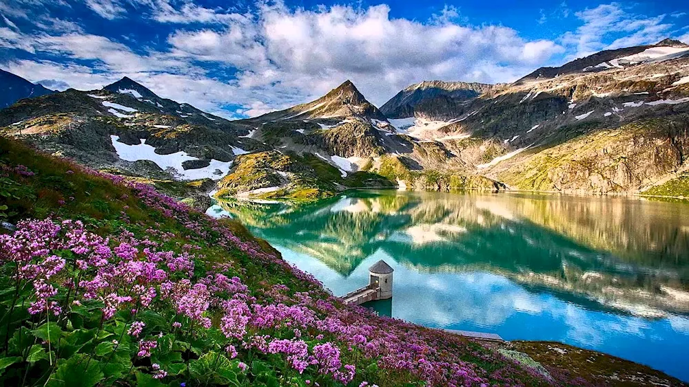 Alpine Meadows Switzerland