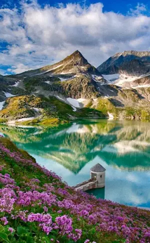 Alpine Meadows Switzerland