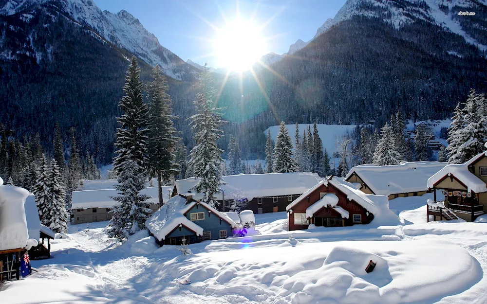 Village in winter