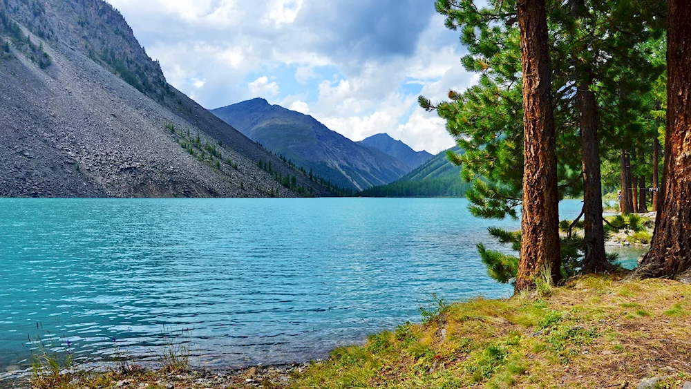 Altaisky Krai Teletskoye Lake mountain Altai mountain forest