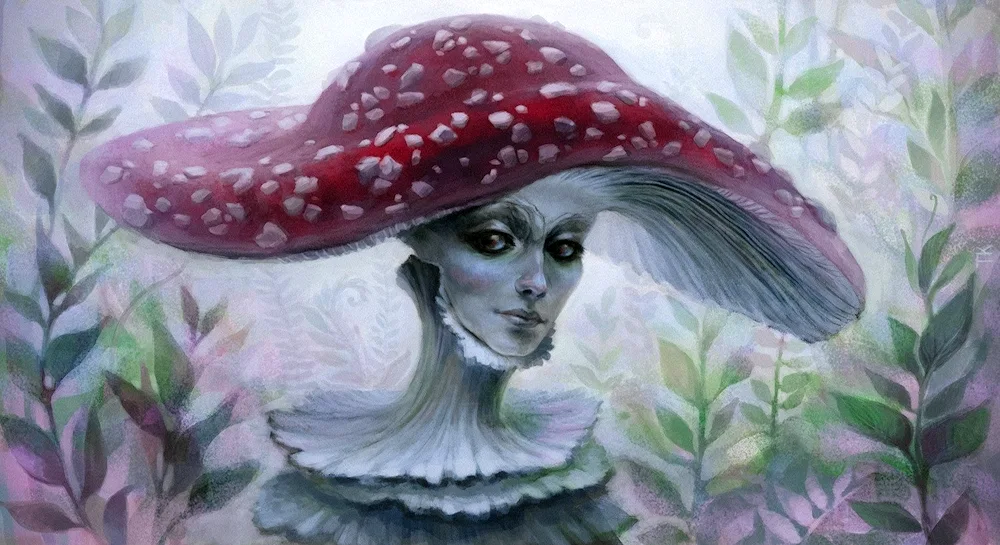 Mushroom colouring