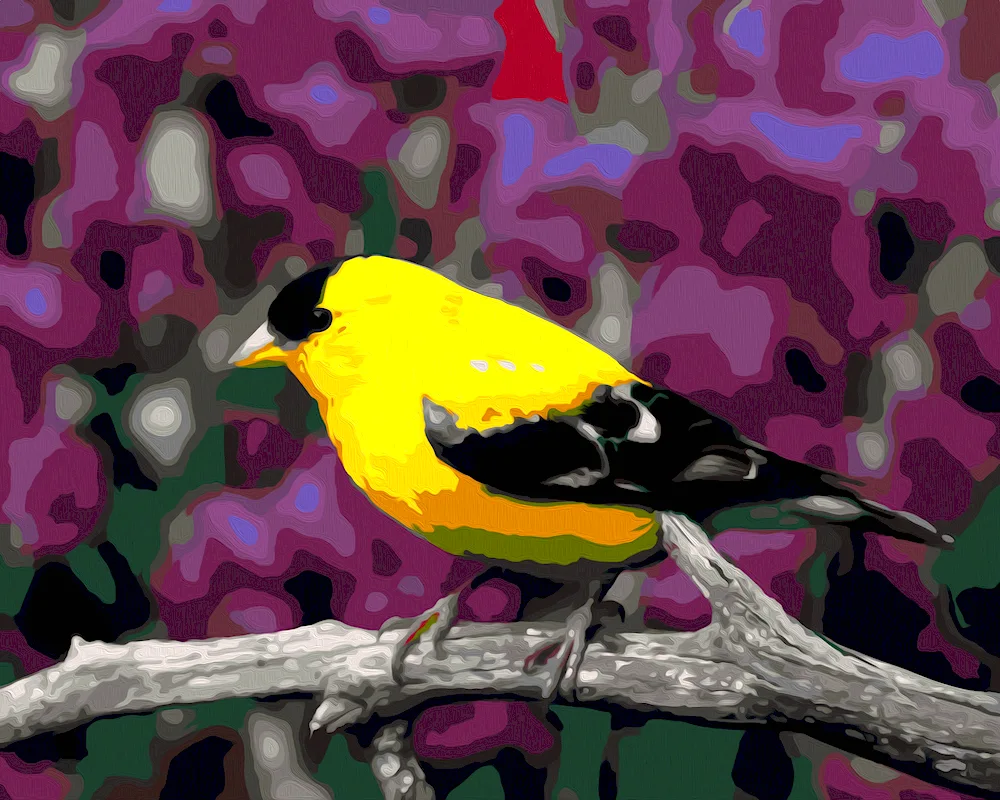 American Goldfinch bird