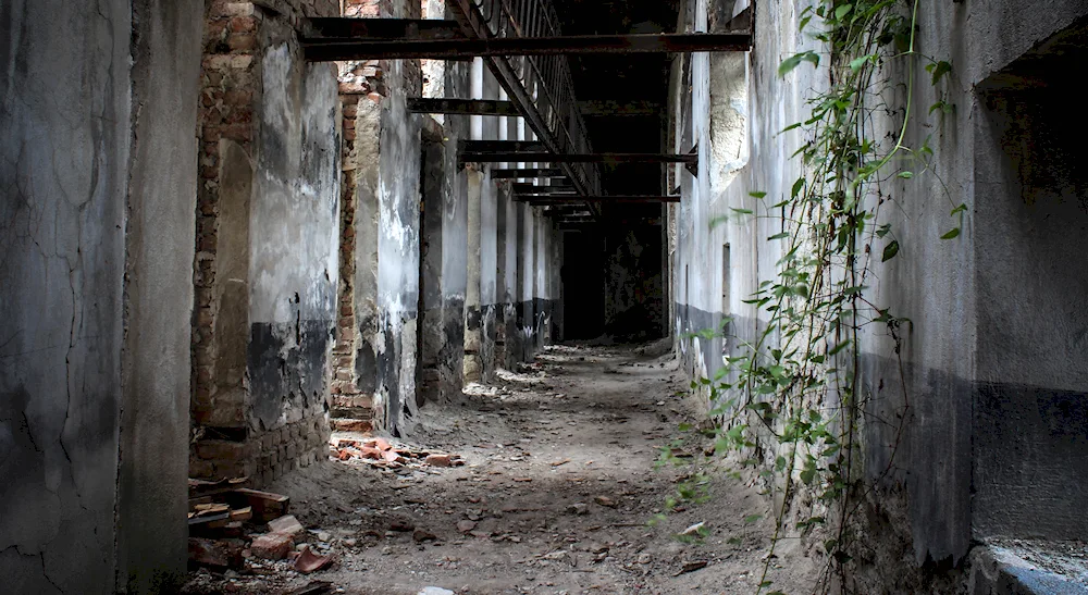 One window in an abandoned building