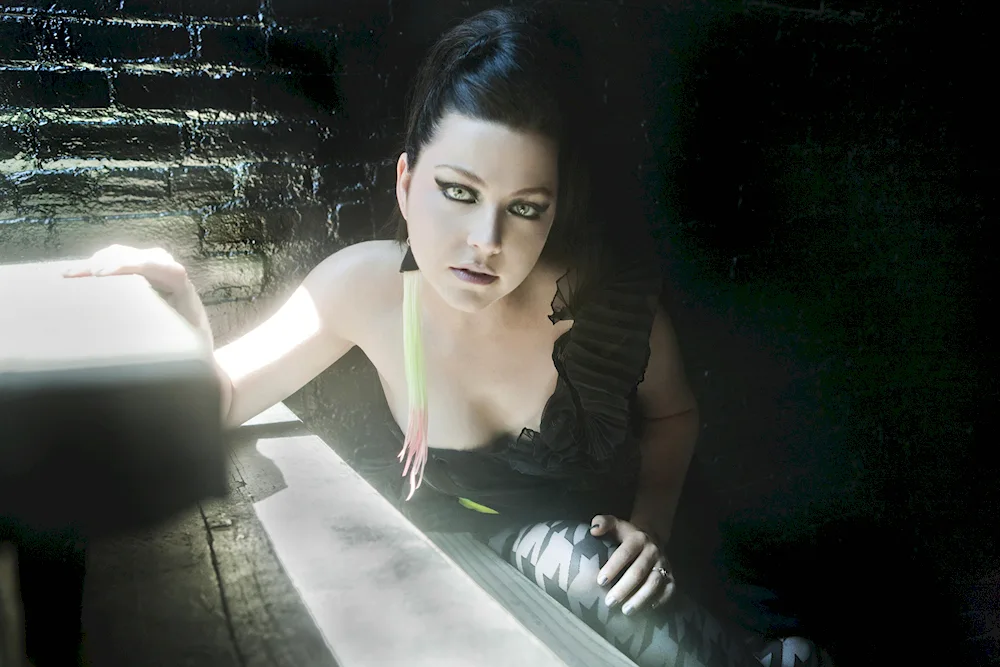 Amy Lee