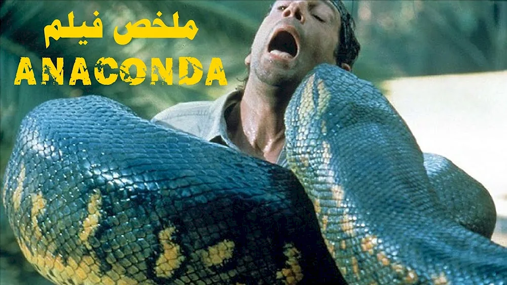 King Anaconda snake