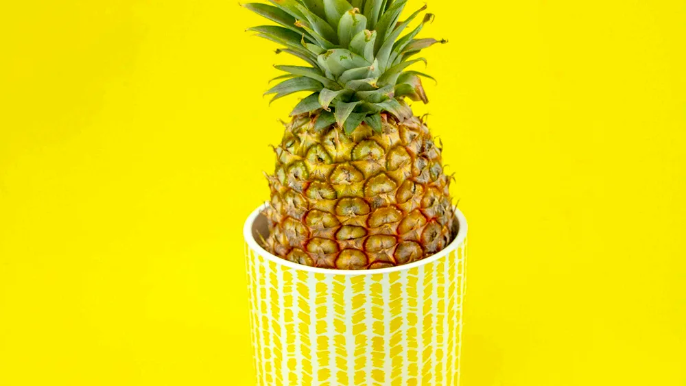 Ananas