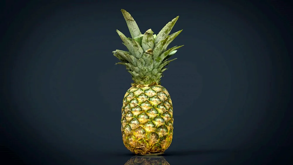 Ananas 3d model