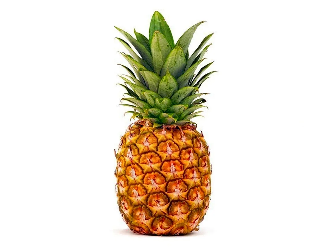 Ananas artfruit