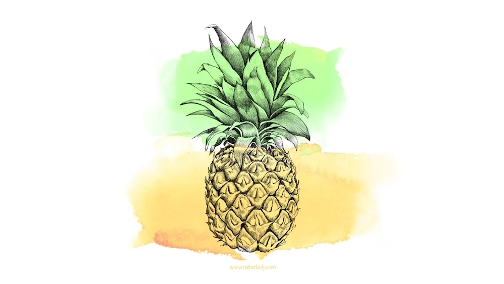 Ananas
