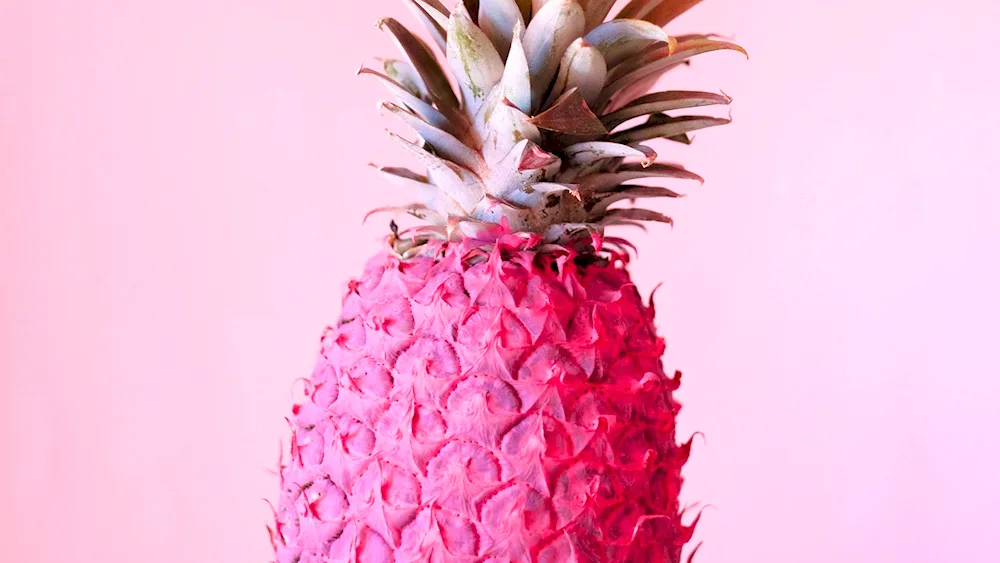 Ananas Palmovic