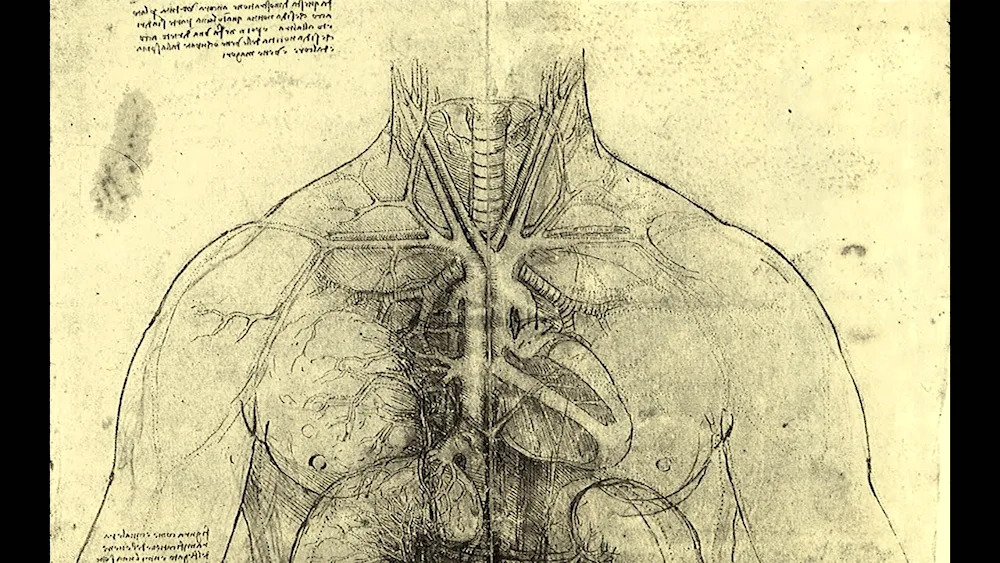 Diseases of the Circulatory System