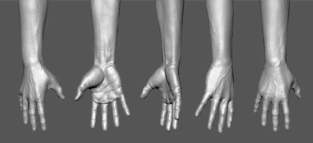 Hands reference 3d