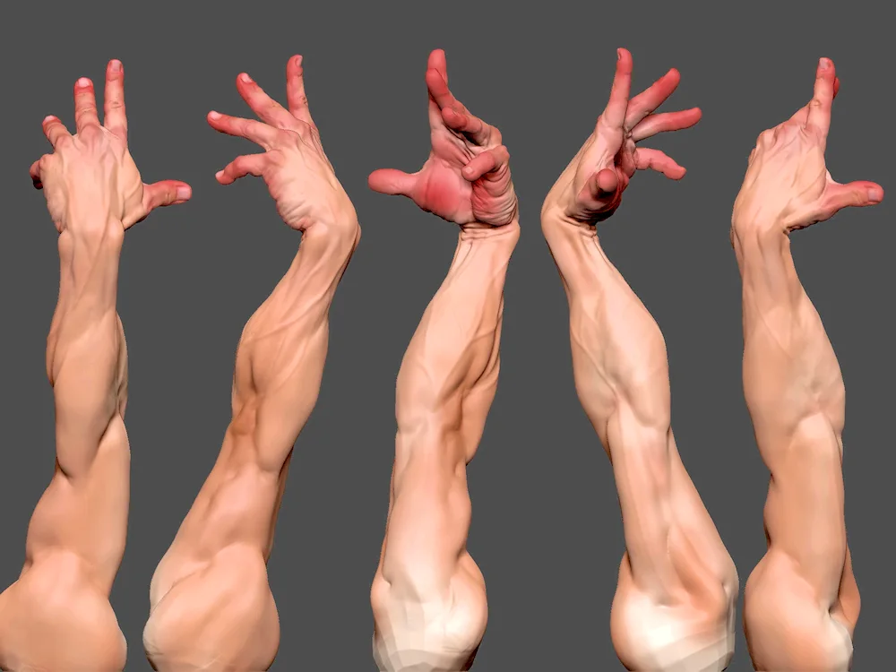 Hand reference Drawing