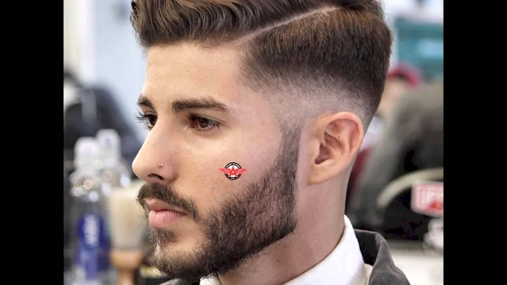 Andercat Pompadour