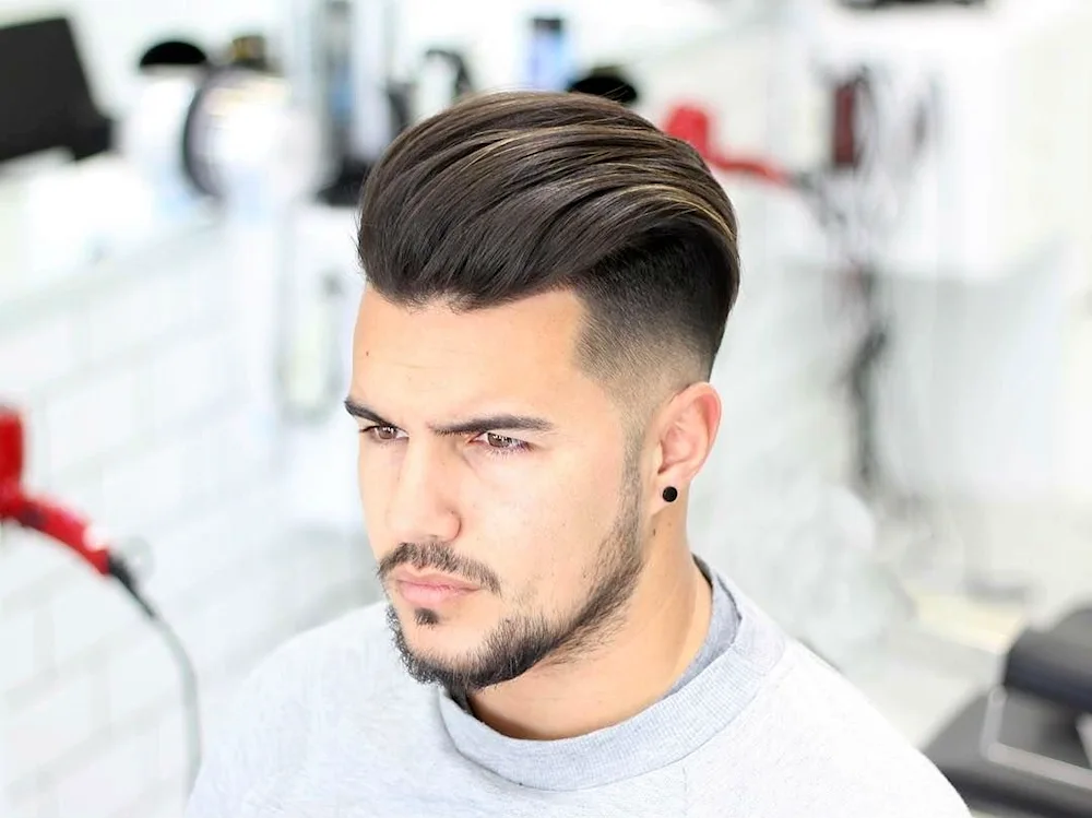 Andercat Pompadour