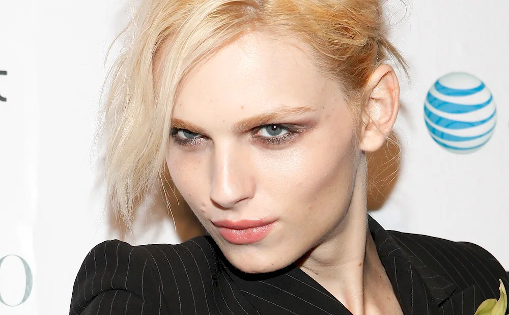 Model Andrea Pejic