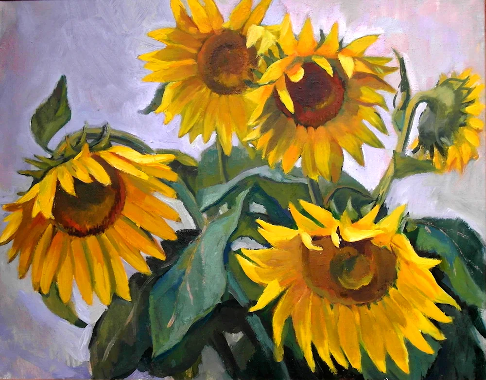 Andriyaka Sunflowers