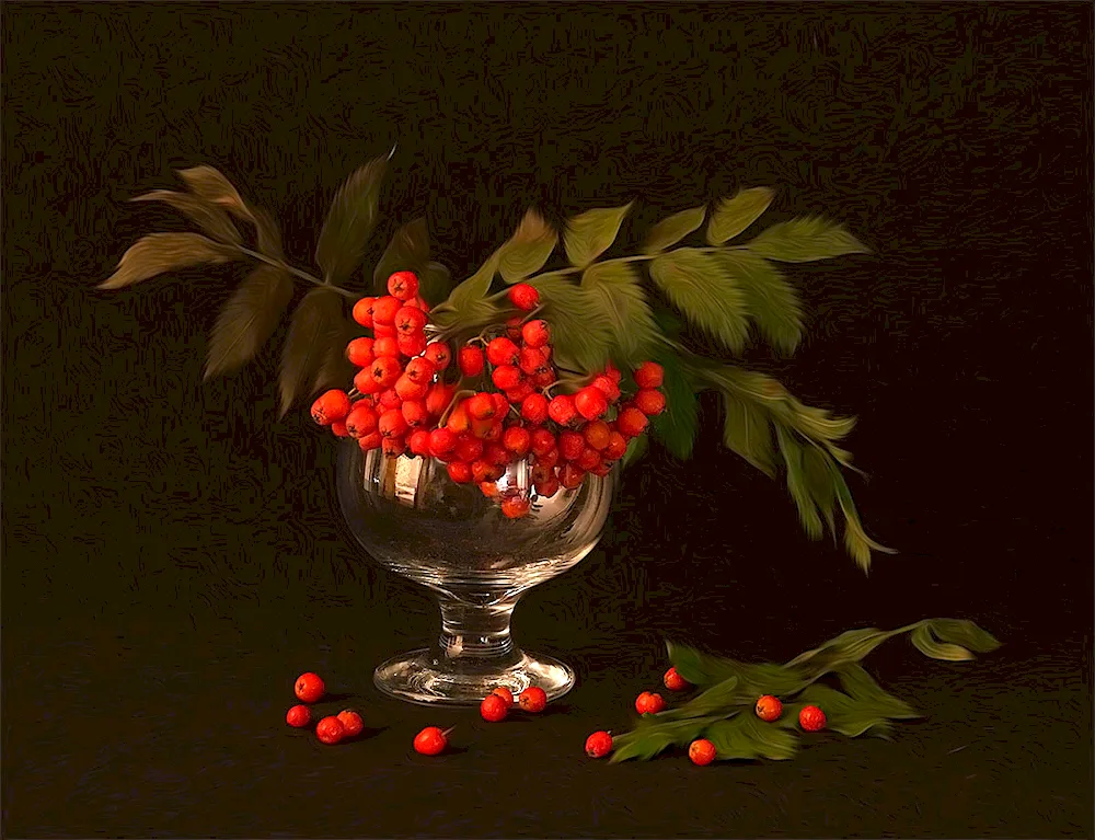 Andriyaki Rowanberries