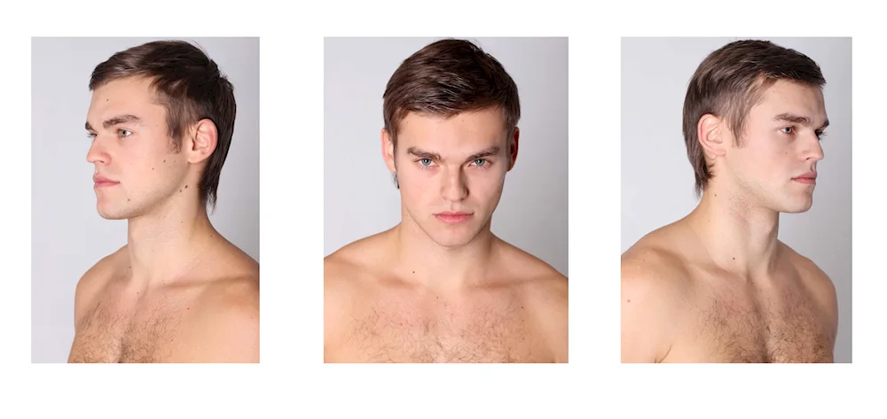Muscles under the chin