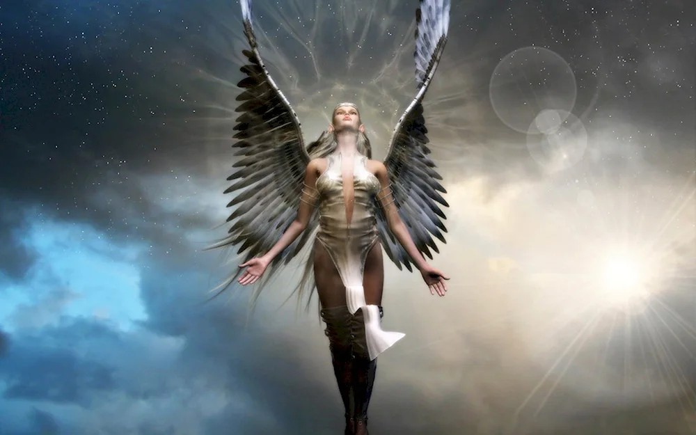 Angel Angel