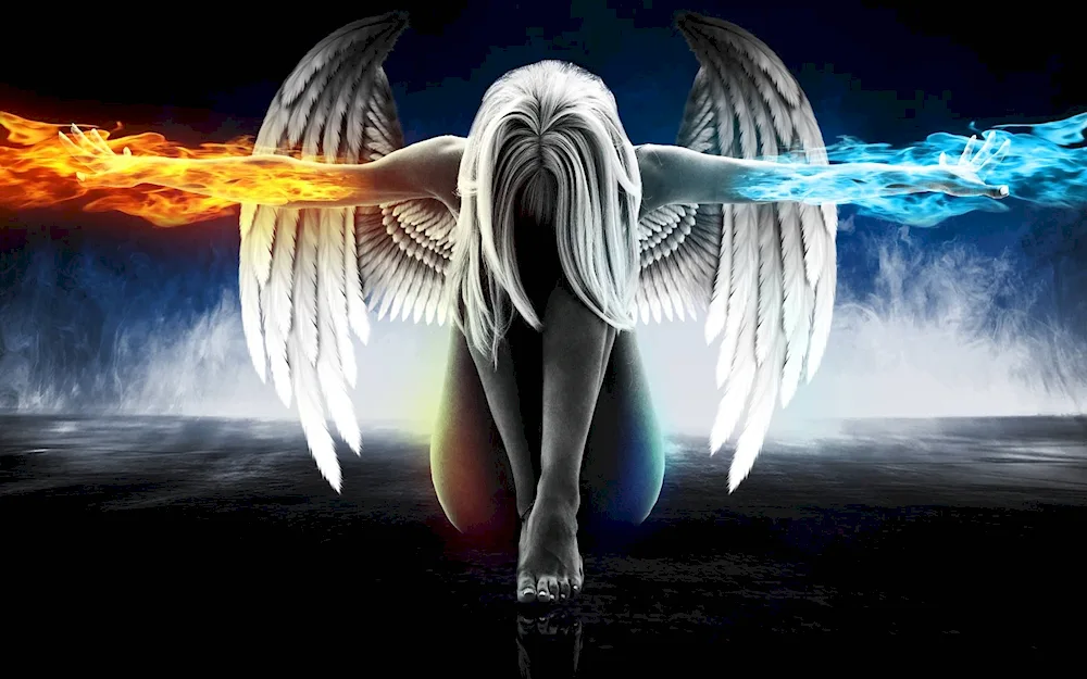 Girl - angel