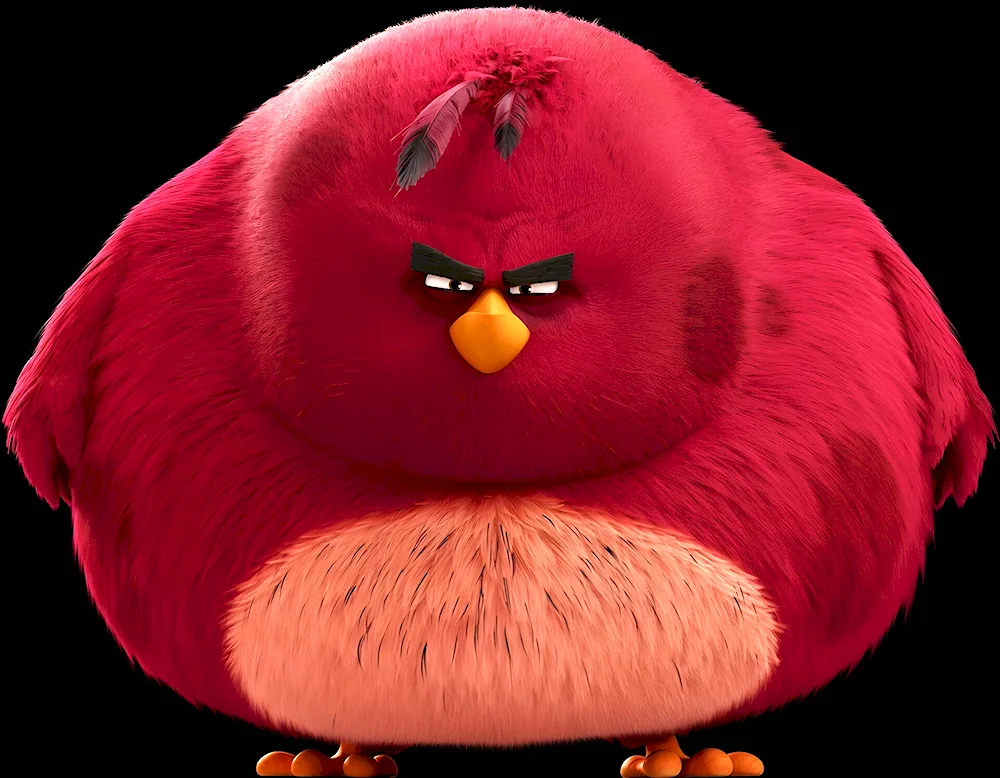 Angry Birds Terence