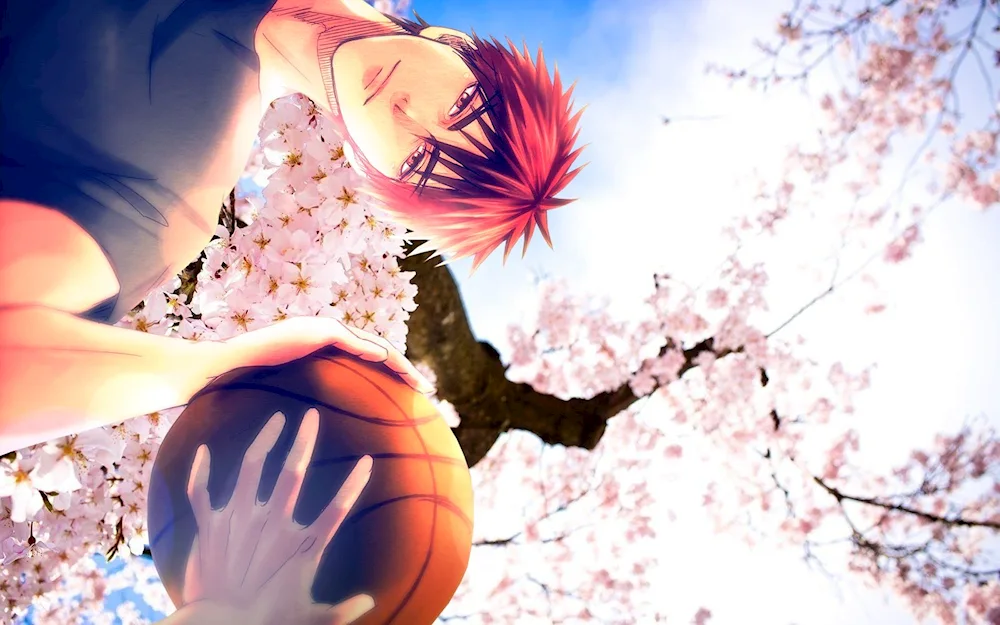 Anime Basketball Kuroko Kagami