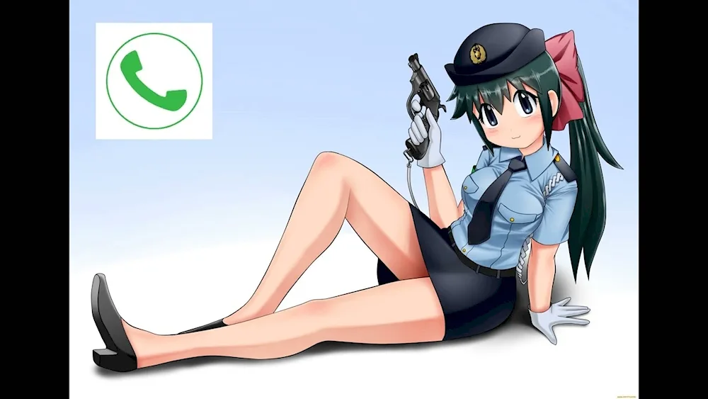 Anime police