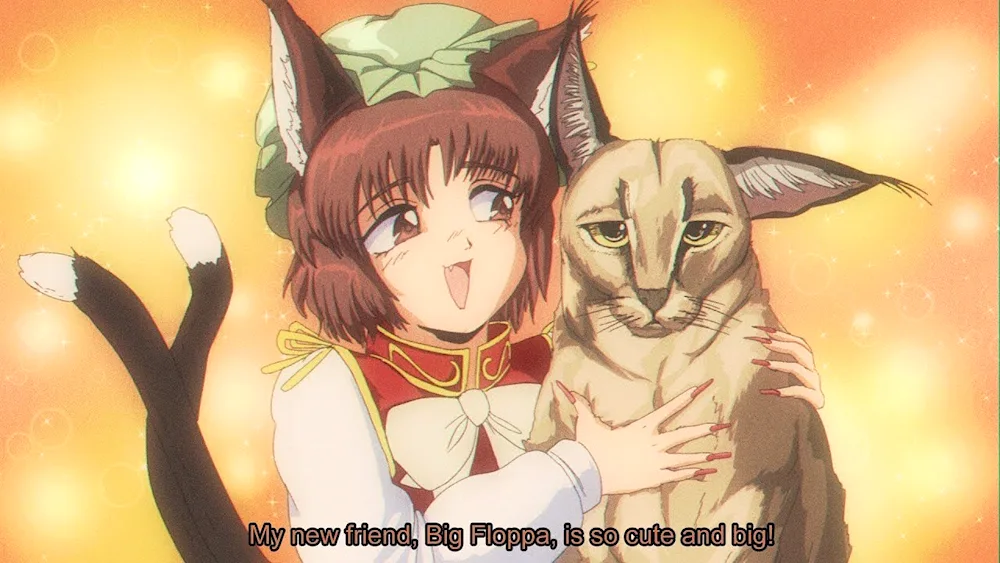 Anime cats