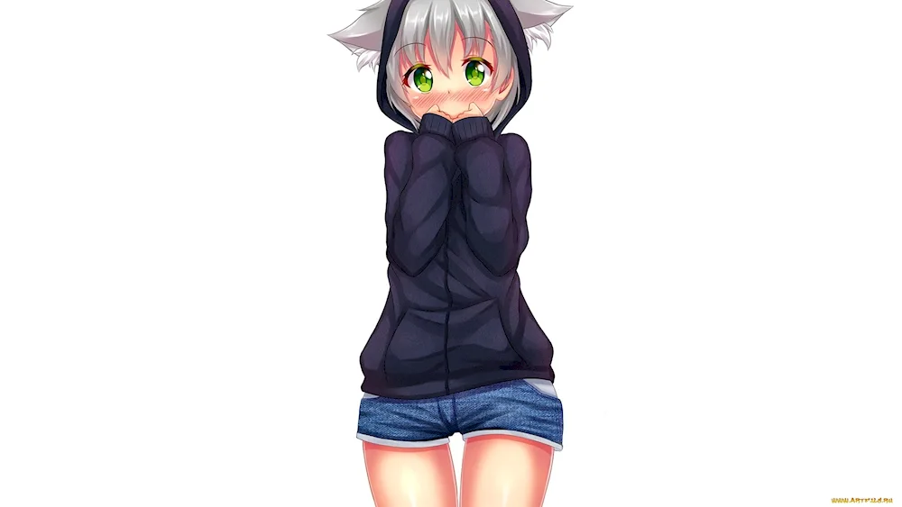 Anime.