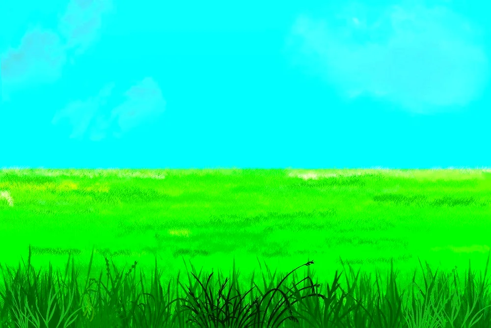 Summer background