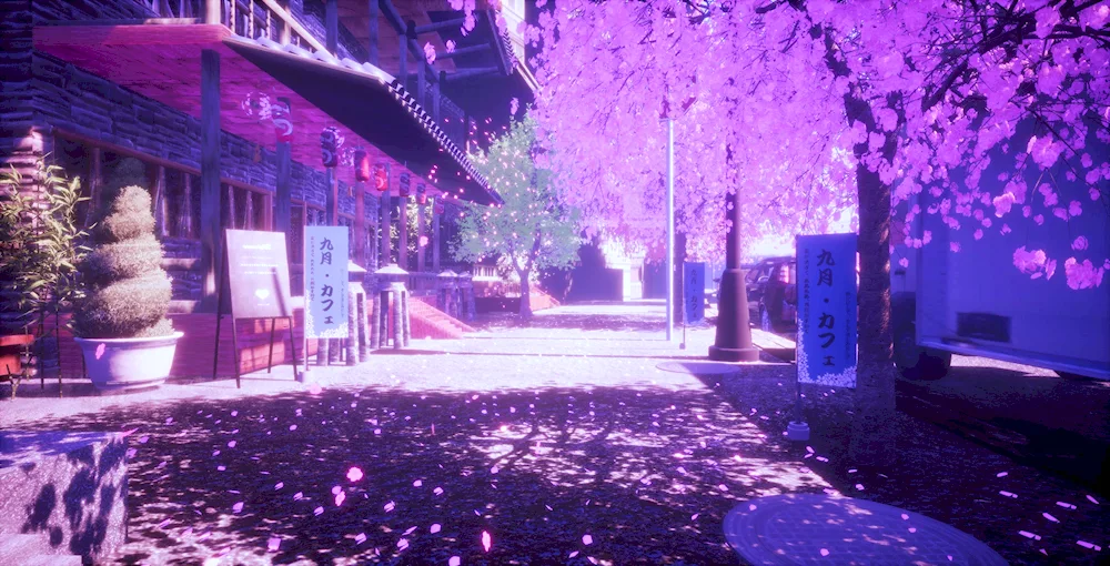 Anime Street Sakura