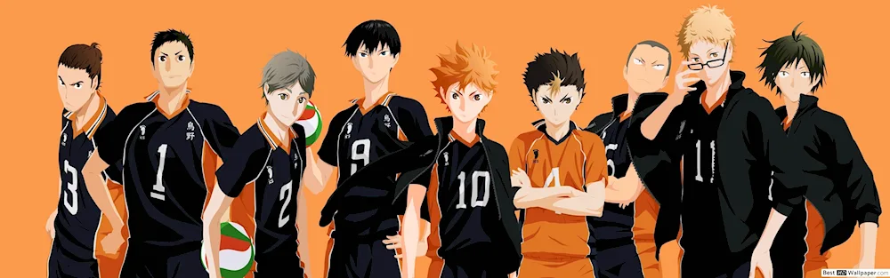 Anime volleyball Karasuno