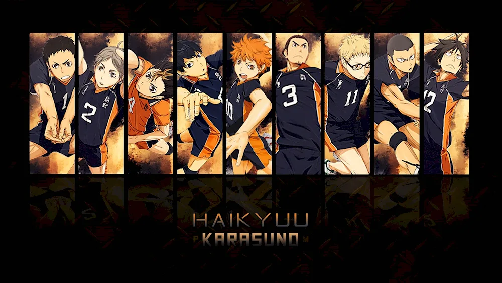 Karasuno Kageyama