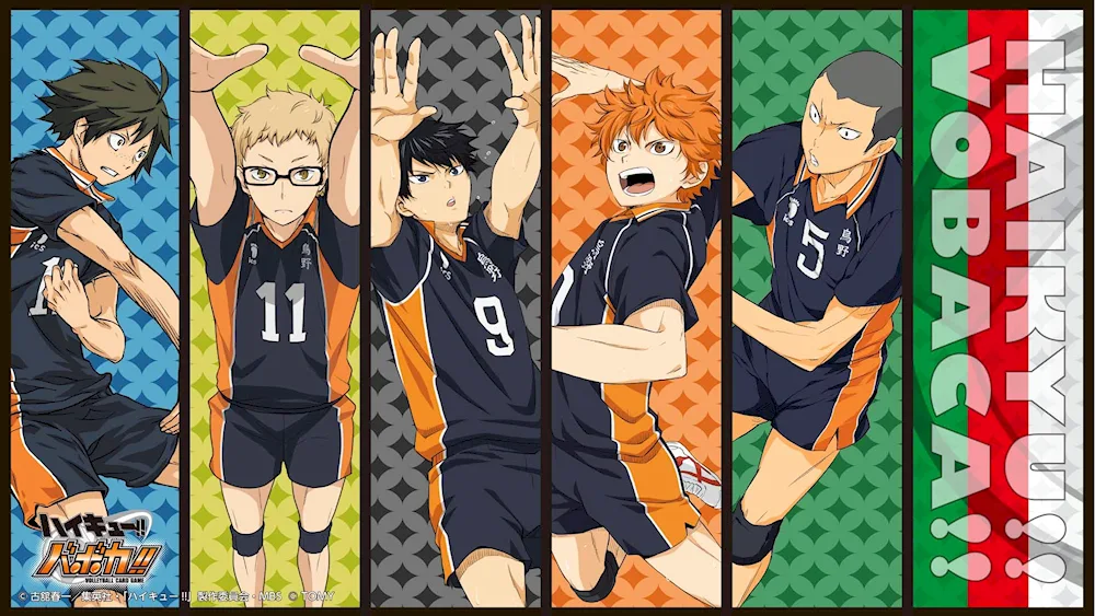 Karasuno volleyball Hinata