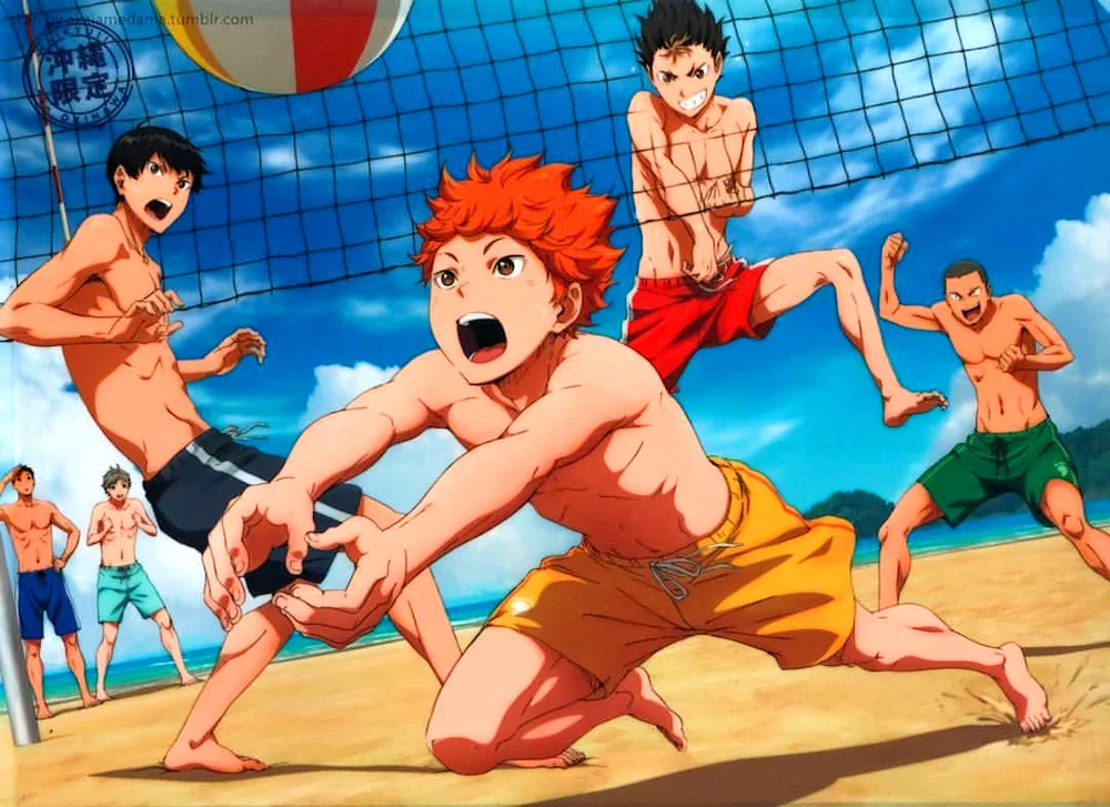 Anime volleyball Haikyuu