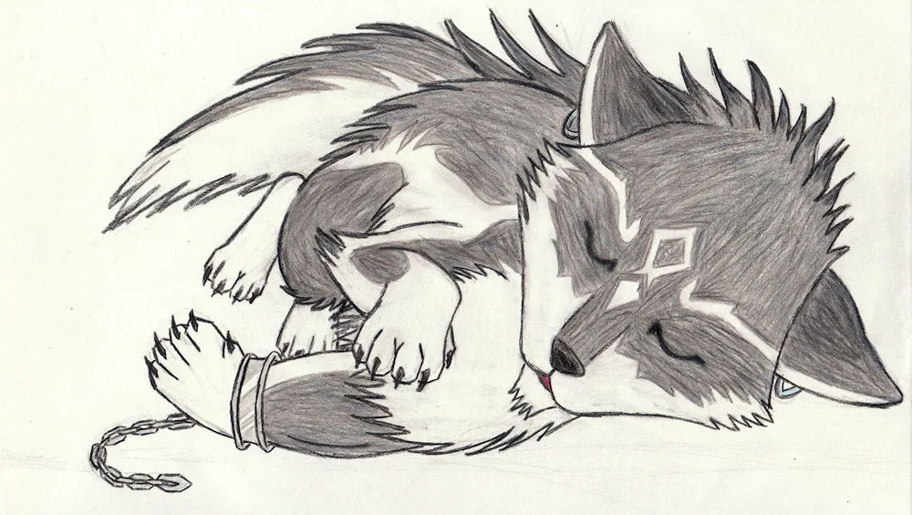 Wolf pencil drawing