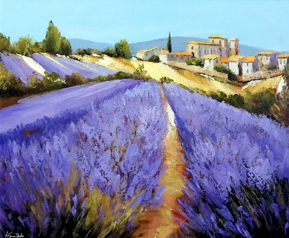 Lavender Fields in Provence France