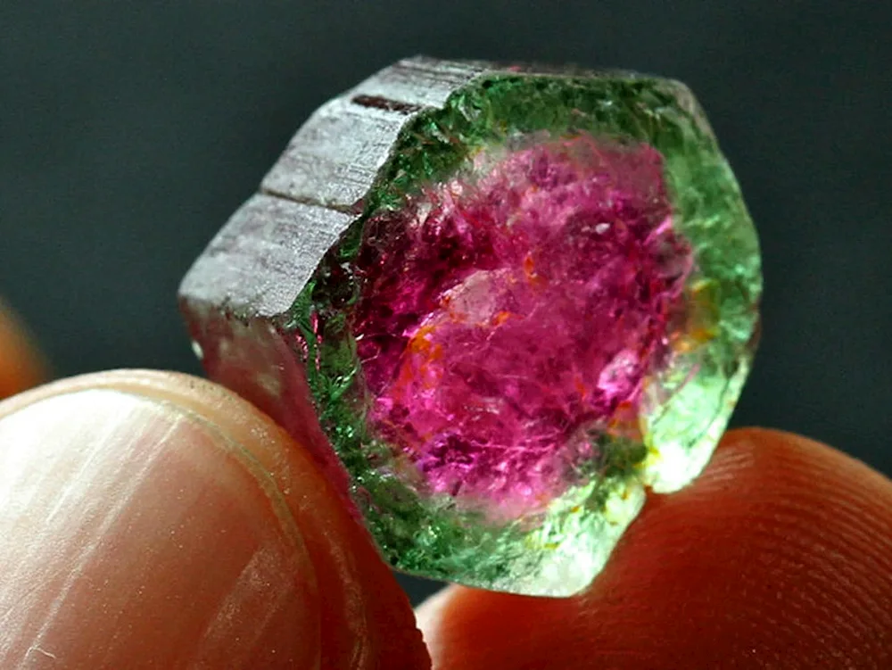 Arbutus tourmaline