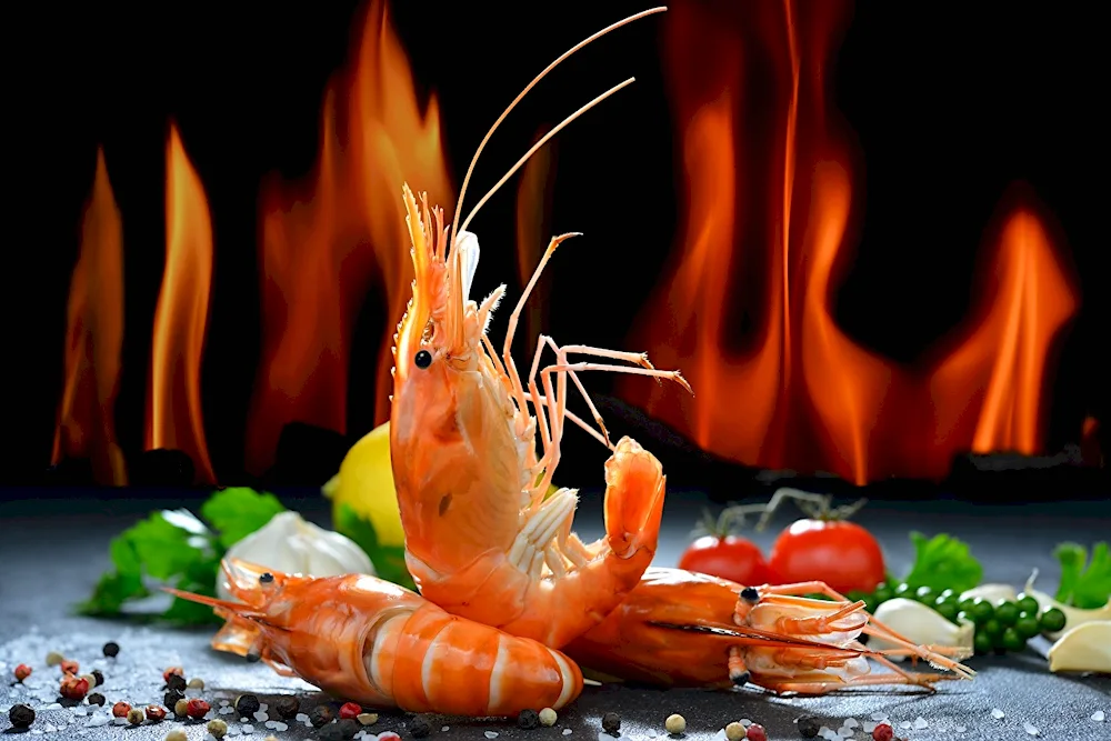 Langostins crab shrimp shrimp shrimp Sifuddin shrimp shrimp live.