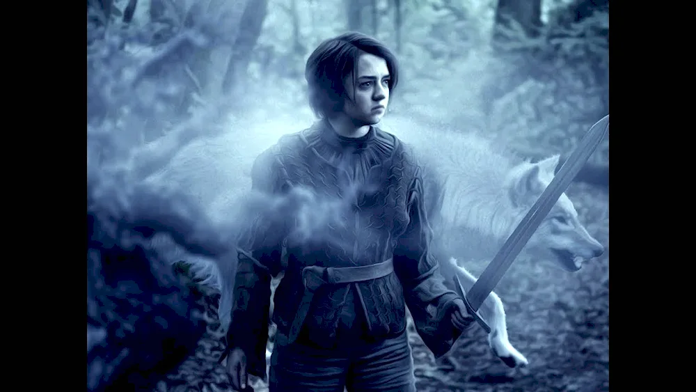 Game of Thrones Arya Stark