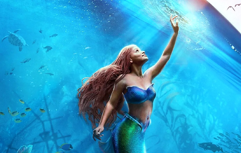 Ariel 2023