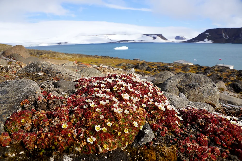 Franz Josef Archipelago