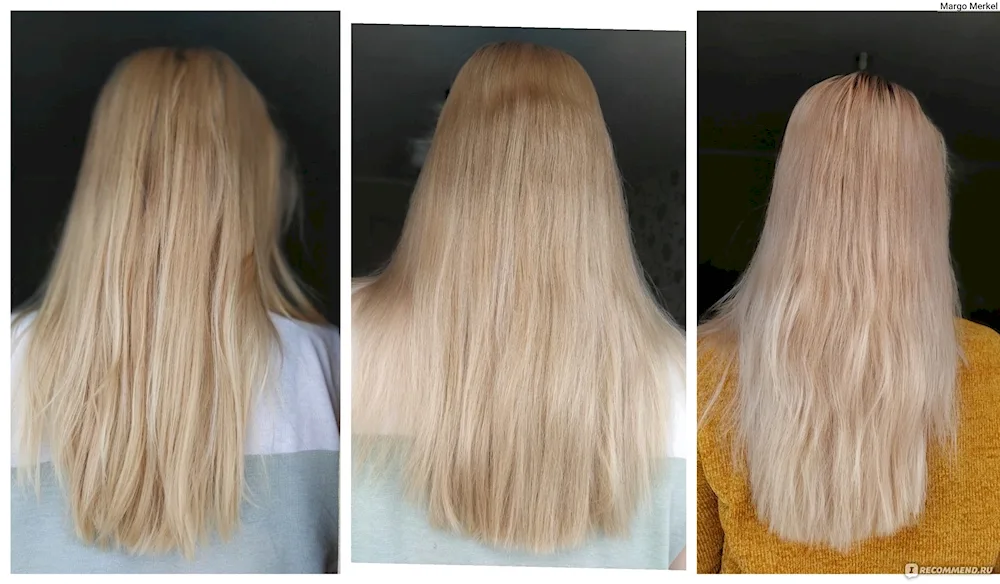Arctic blond hair colour