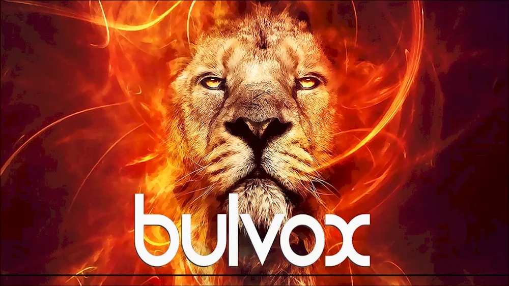 Huge Lion