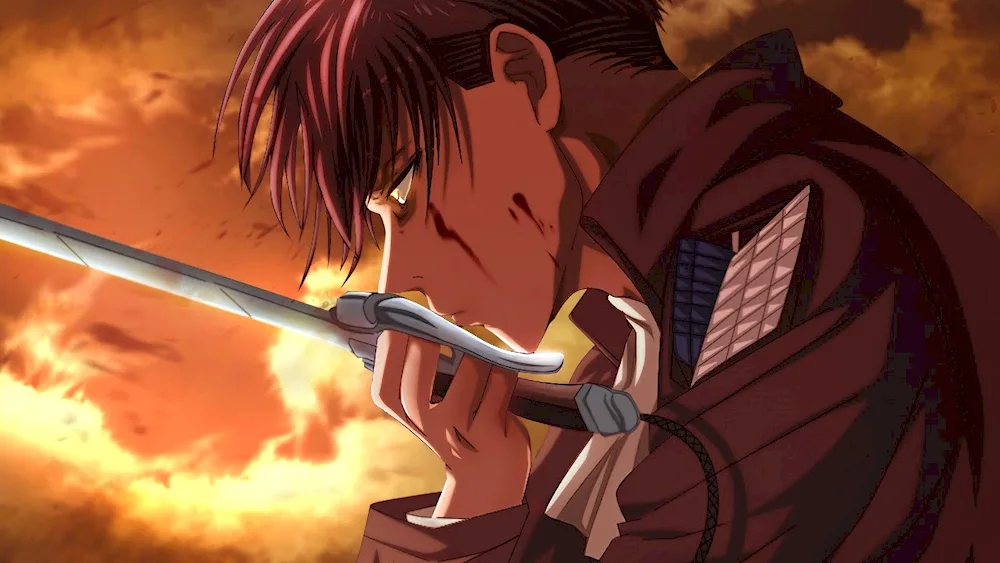 Captain Levi Ackerman