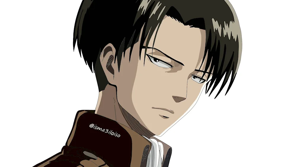 Attack of the Titans Levi Ackerman