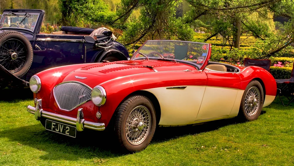 Austin- Healey 100Piper Perry and NegroesWhite Rose.