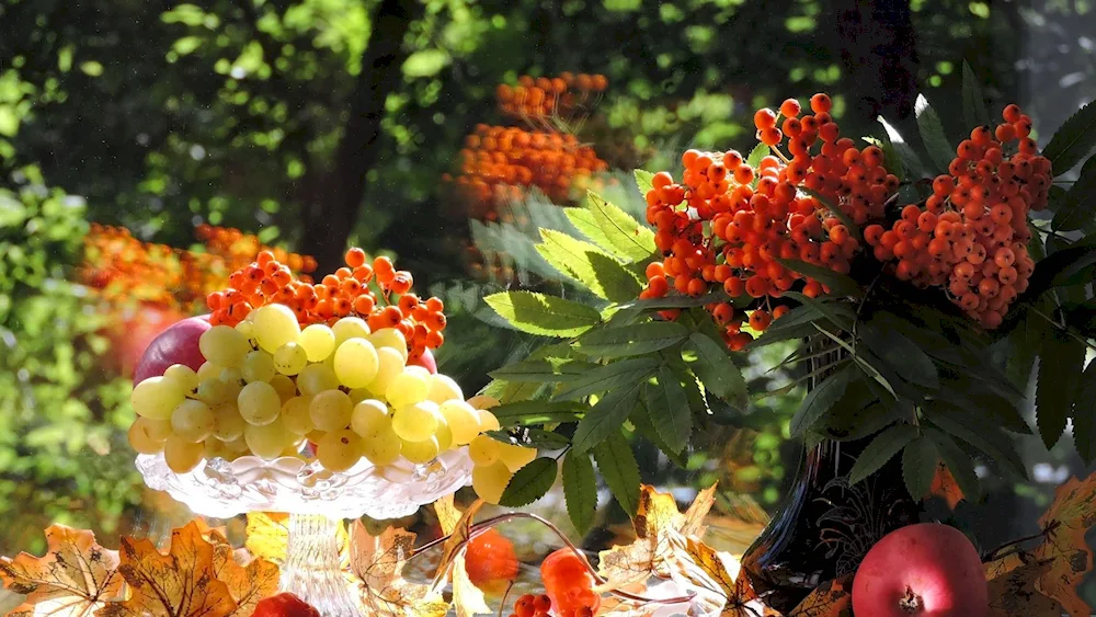 Ekaterina Kalinovskaya rowanberries