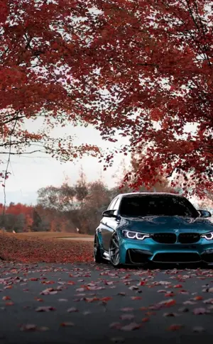 Auto Autumn